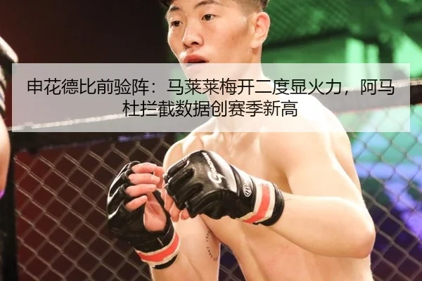 申花德比前验阵：马莱莱梅开二度显火力，阿马杜拦截数据创赛季新高
